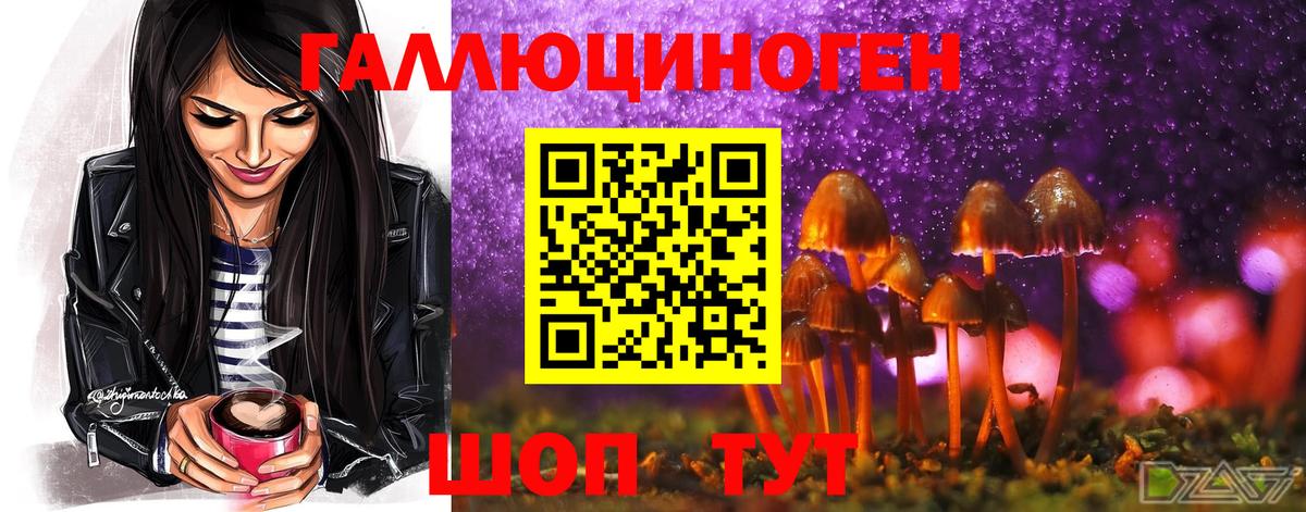 Галлюциногенные грибы Psilocybine cubensis  Вход с VPN  Рубцовск 