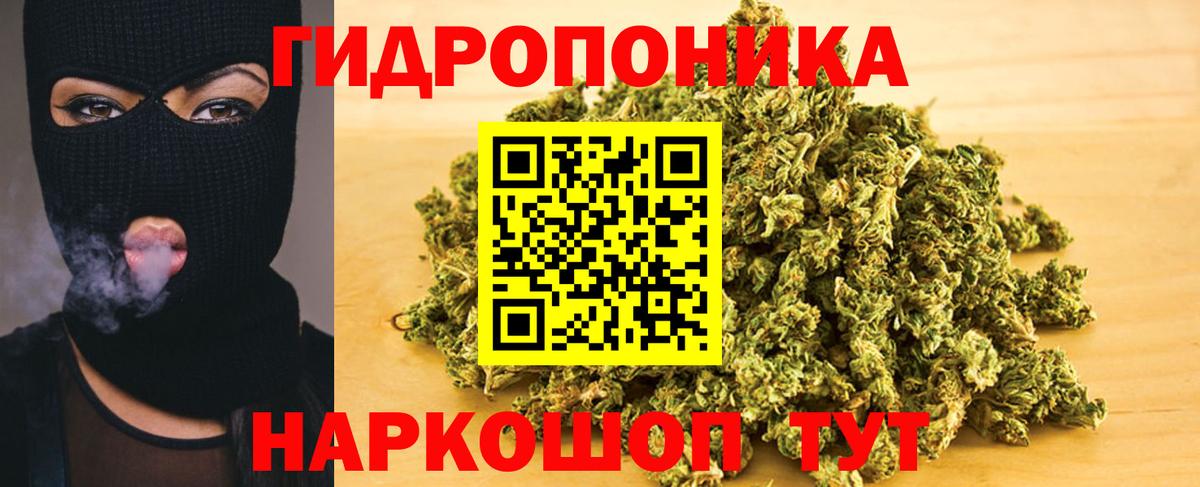 МАРИХУАНА семена  Бошки Шишки семена  Марихуана White Widow  Конопля Bruce Banner  Вход с VPN  Рубцовск 